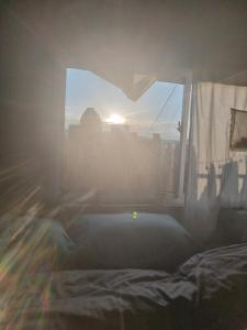 Căn Hộ 1 Phòng Ngủ (One-Bedroom Apartment)