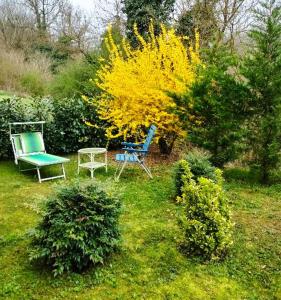 Appartamento con 2 Camere da Letto