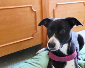 Ostello e Camere Private Prima Luce Foresteria