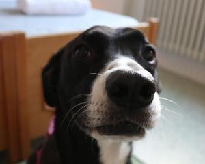 Ostello e Camere Private Prima Luce Foresteria