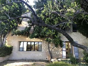 Villas Luxury Provencal Villa amidst own vinyards : photos des chambres