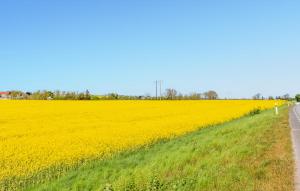 2 Bedroom Amazing Home In Gärsnäs