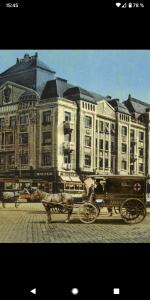 Ultra-central apartment in the Loffler Palace