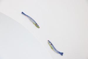 YourHome - Adoro Positano