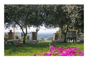 Villa Michela tra Cielo e Mare