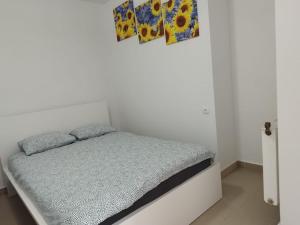 Apartamenty Gołębia-Economic