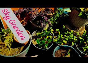 140m2 Top FloorCentral Loft 24hr Self Check-in