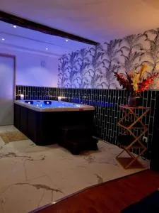 Romantique room St Michel de Lanes (love room) - 洛拉盖自由城