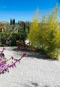 Appartements Studio lumineux « Judee » : photos des chambres