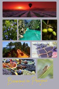 Appartements Studio lumineux « Judee » : photos des chambres