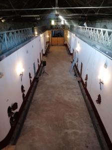 Maisons de vacances La cave de Grand Cabane : photos des chambres