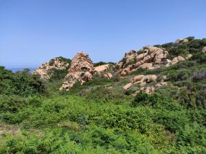 Casa Adriana - Costa Paradiso img25