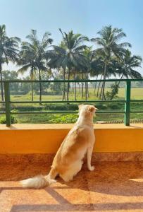 Bluebell Meadows 2BHK