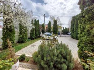 obrázek - Pension Casablanca