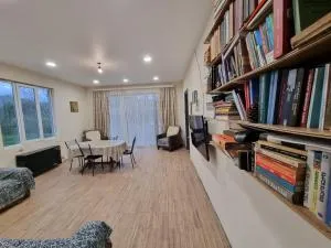 Saniko - Dacha, Country House - Machakhlispiri