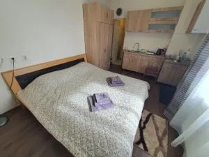 Zara Apartament 3 - Remetea