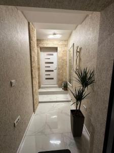 Apartman Little garden near Airport