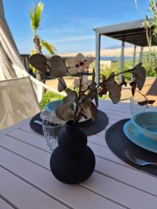 Luxury Mobile Home Moonwalk Terra Park Spiritos, Pag Island , Kolan, Novalja 