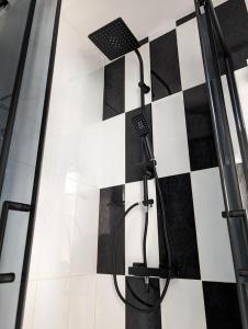 Top Belgrade Apartments