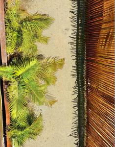 Ecoco Holbox - EcoChic - Cabañas de Madera - Holbox Retreat