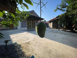 LaFi Homestay
