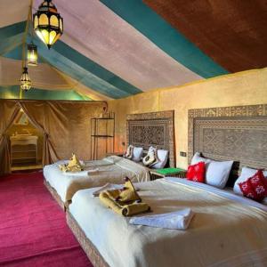 NightStars Luxury Camp