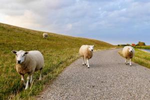 Katharinenhof App Loh