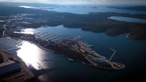 Basic Mansion Mandalina