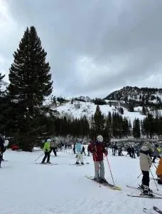 Janice Apartment - Walker