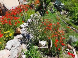 Appartements Cadre exceptionnel a Courbons, 6km de Digne-les-Bains : photos des chambres