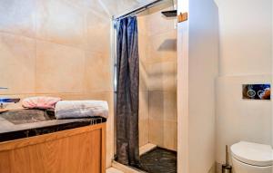 Maisons de vacances Cozy Home In Pujaut With Wifi : photos des chambres