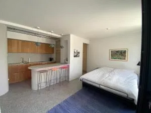 Studio Heinrich 1 - 费尔达芬格