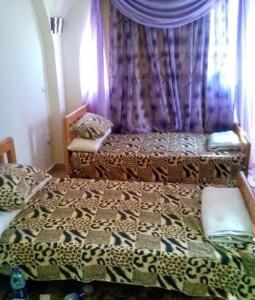 دوبلكس مفروش ومجهز