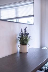 Quiet Home Near SFO with Backyard BBQ