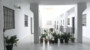 Apartamento Conil playa Bateles