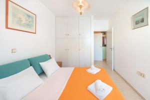 Xrisi Akti Apartment