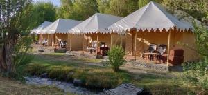 Royal Deluxe Camp & Resort, Hunder- Nubra