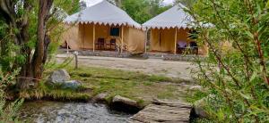 Royal Deluxe Camp & Resort, Hunder- Nubra