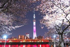 浅草桜橋ハウス-Asakusa Sakurabashi House-