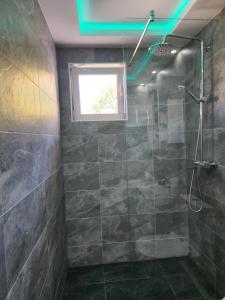 Stan na dan Delight Pozarevac