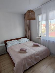 Apartament u Ewci