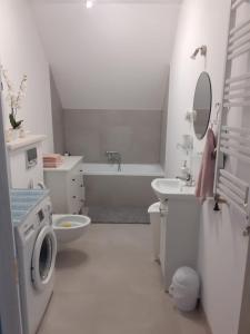 Apartament w Starym Młynie