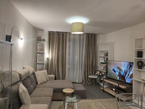 Appartements T2 plein centre-ville 40m2 : Appartement 1 Chambre