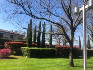 Alice&Luna's Apartaments Sirmione img78