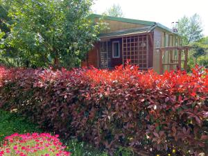 Beach house à Marina di Sorbo …Corse
