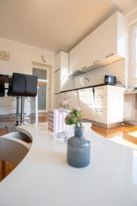 Adriatic Escape Novalja-Zrce!