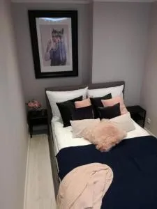 Apartament przy Parku - Krogulcza