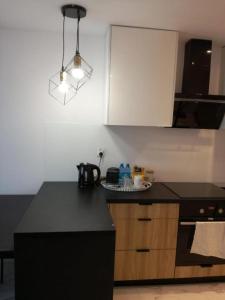 Apartament przy Parku