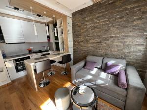 Jovanovic Titova Vila