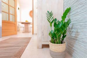 Montellino's Suite Oro img47